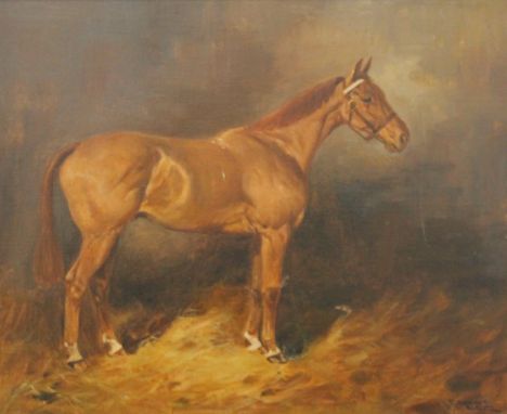 THOMAS IVESTER LLOYD (1873-1942) British, A Portrait of a Chestnut Hunter in a stable, oil on canvas, signed, framed. 49 x 39