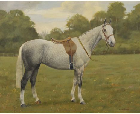 FLORENCE MABEL HOLLAMS (1877-1963) British (AR), A Portrait of a Dapple Grey Hunter in a Field, oil on panel, signed, framed.