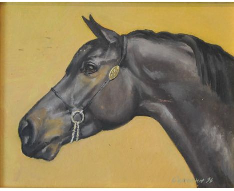 RUSSIAN SCHOOL, A Portrait of a Horse, oil on board, signed SOPOKNH and dated '96, framed. 24 x 19 cm.