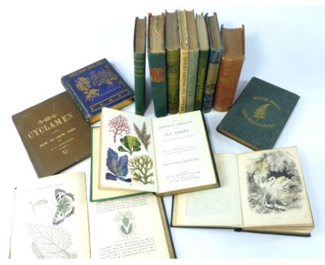 Collection of books, Victorian Natural History, some colour plates. (14)