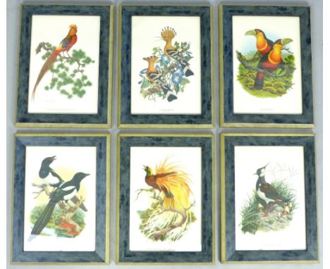 After Axel Amuchastegui, Great Bird of Paradise, lithograph, 20x 29cm, together with five other similar framed works, (6)