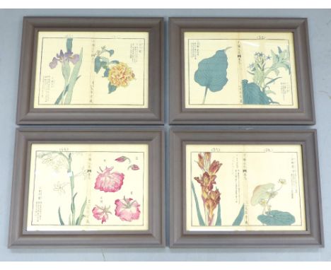 Four Japanese floral prints, originally from book illustrations, 30x 21cm, (4)