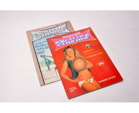 Adult vintage glamour book / magazine group comprising 2 issues of  The New Blue Exciting Cinema. Issue numbers 7 and 21.