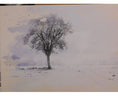 An East Urban Home 'Landscape Snow and Tree' print, RRP £24.99.