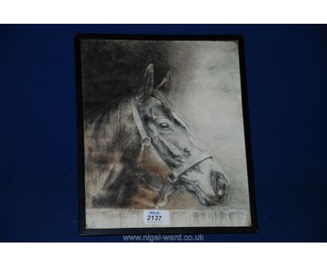 A Pencil portrait of the 1935 Derby winner 'Bahrah', signed and dated.