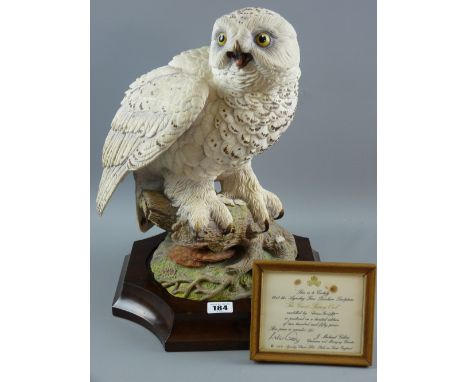 An Aynsley limited edition (151/250) model of the Great Snowy Owl, modelled by Fred Wright, a fine porcelain full length mode