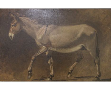 ATTRIBUTED TO PENRY WILLIAMS (1802-1885) "Donkey", profile study, oil on canvas, unsigned, bears paper label "The Tryon Galle