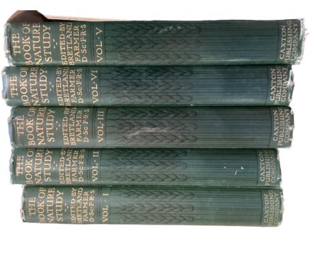 Qty of books to include, The Great War by H W Wilson, Metropolitan Seminars In Art by John Canaday (series of 12, each with c