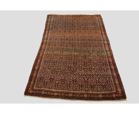 Senneh carpet, north west Persia, early 20th century, 10ft. 10in. x 7ft. 1in. 3.30m. x 2.16m. 