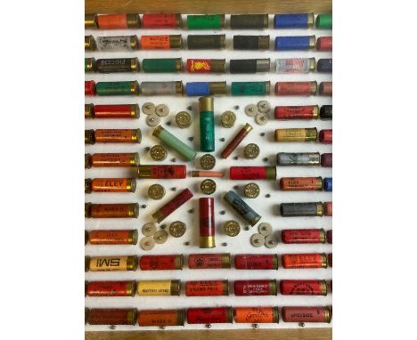An extensive collection of shotgun cartridges framed and mounted including ‘Eley Trainer’ ‘First Choice’ ‘Three crowns’ etc. 