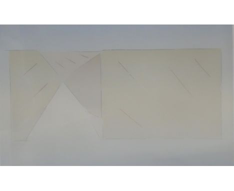 JOHN TAYLOR (b.1936) FLASH Print multiple, signed lower right, numbered 3/15, 55 x 86cm Condition Report:Available upon reque