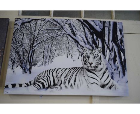 COLOURED PRINT ON CANVAS - TIGER IN SNOW