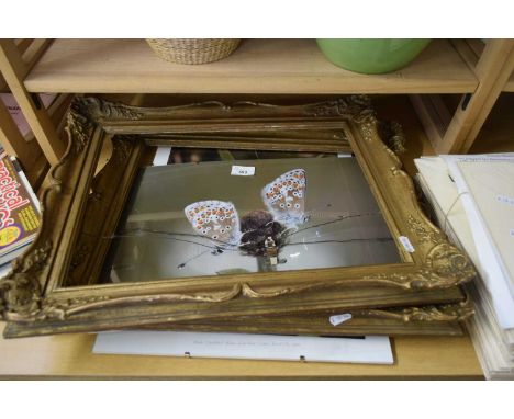 PRINT OF A BUTTERFLY AND A QUANTITY OF PICTURE FRAMES