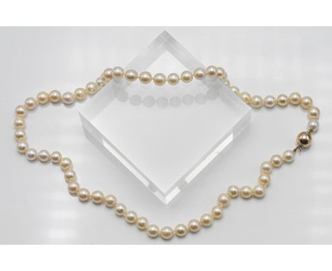 Single row uniform cultured pearl necklace, approx. length: 50cm, pearl size: 8.00mm, 9ct yellow gold 10mm ball clasp.