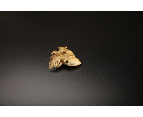  Arte Giapponese. A group of twelve ivory carved netsuke  Japan, 19th century . An Ibis signed at the base 4 X 4,5 cm A tiger