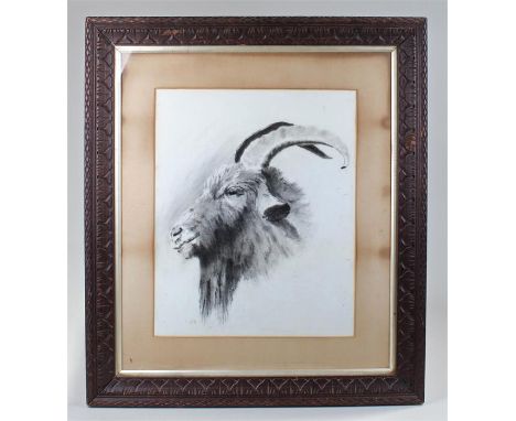 Fine portrait of a bearded goat monogrammed RH in an oak frame 68 x 60cm 