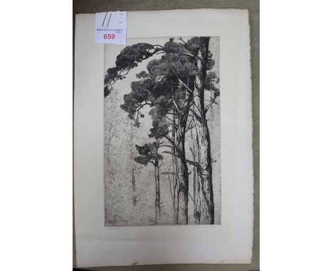 GEORGE EDWARD COLLINS 1880-1968, 'WOODLAND' etching monogrammed within the plate line and signed to the margin (unframed)