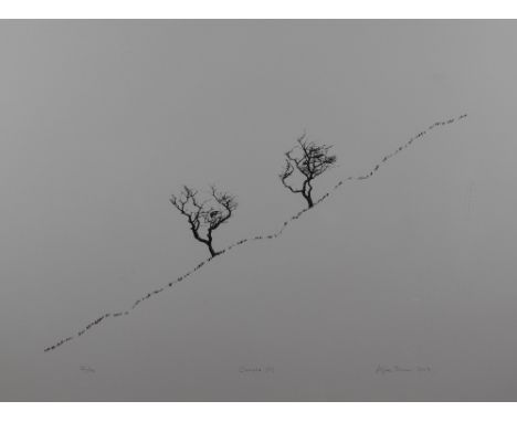 After Alan Stones (Local Contemporary) a limited edition lithographic print, entitled 'Couple (IV)' limited edition number 36