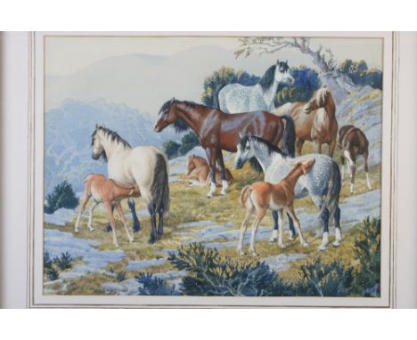 Charles Frederick Tunnicliffe, R.A.,R.E., 1901-1978, study of Welsh ponies, watercolour and body colour over pencil, 41.5cm x