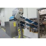 Inclined Trough Conveyor, 17 in.W X 9 ft. - RIGGING FEE $100