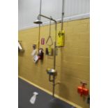 Emergency Eye Wash & Shower - RIGGING FEE $25