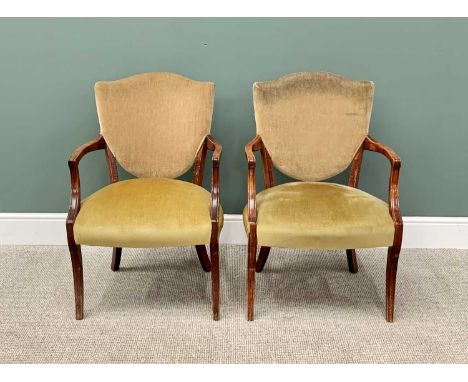 VINTAGE ARMCHAIRS - a pair, with shield shaped upholstered backs and sprung seats, with swept arms and sabre front legs, 89cm