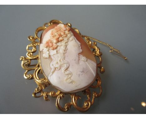 19th Century oval carved shell cameo portrait brooch housed in a gilt metal frame