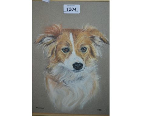 Philis Binet, pastel drawing, portrait of a dog ' Perri ', signed with monogram, 30.5ins x 9.75ins