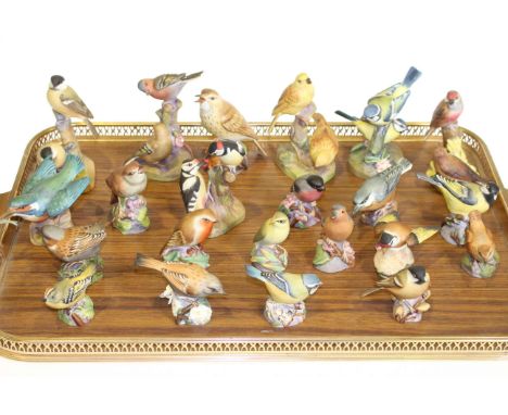Collection of twenty two Royal Worcester birds