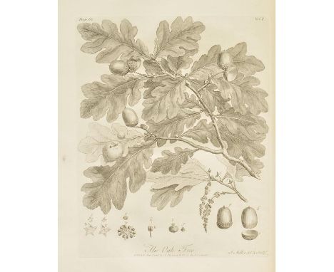 Evelyn (John & Hunter, A.). Silva: or, a Discourse of Forest-Trees, and the Propagation of Timber in his Majesty's Dominions;