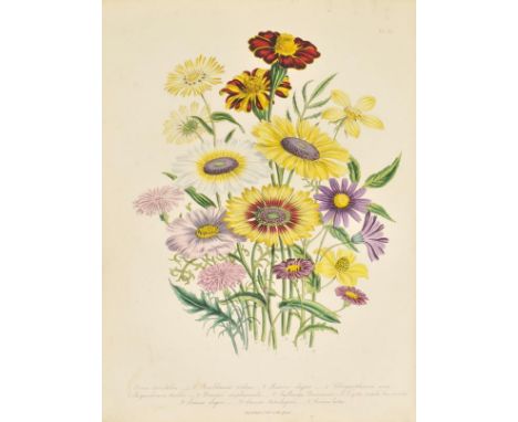 Loudon (Mrs. Jane). The Ladies' Flower-Garden of Ornamental Annuals, 1st edition, published William Smith, 1840, additional h