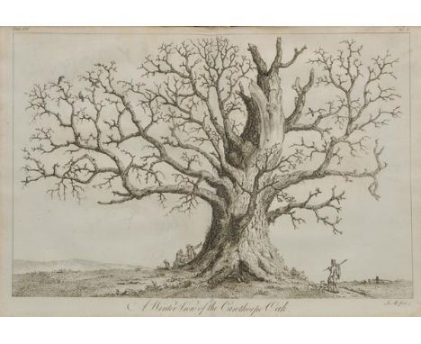 Evelyn (John). Silva: Or, a Discourse of Forest-Trees, and the Propagation of Timber in His Majesty's Dominions: As it was De