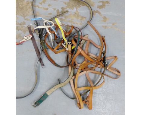 A small collection of vintage brown leather dog leads  (all apparently unused)