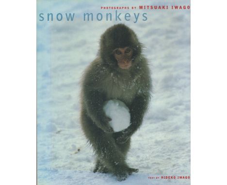 Snow Monkeys by Hideko Iwago 1999 First US Edition Softback Book with 159 pages published by Chronicle Books some ageing good