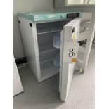 A LEC Medical LSFSF158UK laboratory freezer, 158 litre no: 10380162444410534.