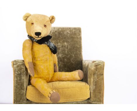 A 1930s German teddy bear,  with bright golden mohair, orange and black glass eyes, slotted-in-ears, pronounced muzzle, swive