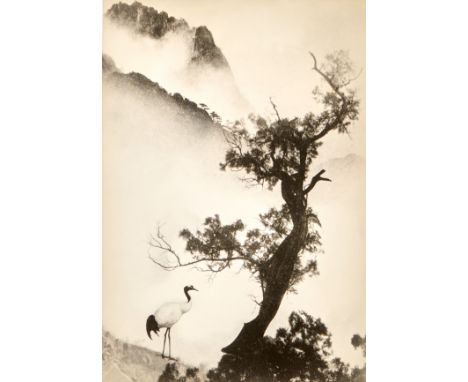 Chin San Long (Lang Jingshan) (Chinese, 1892-1995). Photograph depicting a single crane under a tree with towering cloudy mou