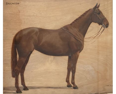 FRANCES MABEL HOLLAMS (1877-1963) Oil on wooden board, "Duchess", study of a chestnut hunter, signed and dated lower right, F