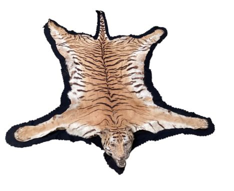 Tiger skin rug with taxidermied head, with glass eyes and realistic teeth, see photos for condition (there is wear and losses