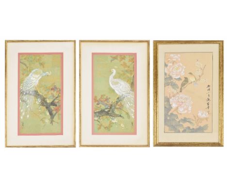 Japanese School (20th Century) - watercolour and gouache studies of Oriental birds standing upon a branch on a tree, each sig