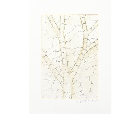 Andy Goldsworthy (British, born 1956)Clay Tree Wall, Jupiter Artland signed and dated 'Andy Goldsworthy 2008' (on mount)penci
