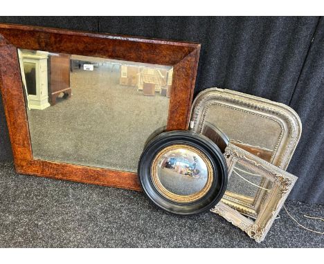 A burr walnut squared mirror with bevel edged together with a reproduction convex mirror and two others.