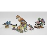 Group of Royal Worcester models of birds and others similar, including a wood warbler, a blue tit, a