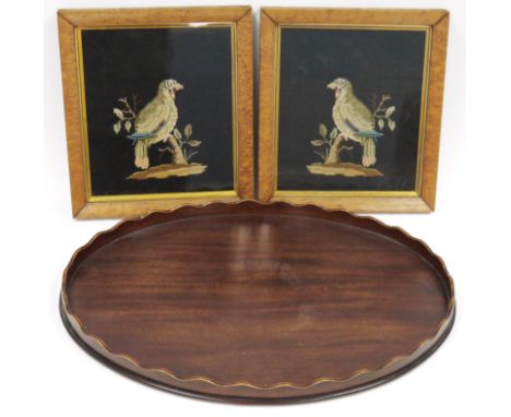 Two framed Victorian needlework tapestry panels of parrots, reserved on a black ground, 23cm x 26.5cm high, together with a G