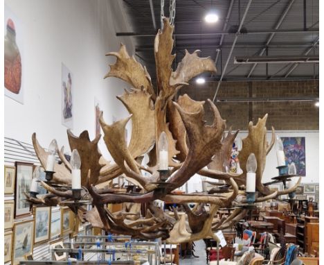 Large 20th century twelve light Stag antler chandelier/electrolier, measuring approximately 130cm diameter by 105cm high