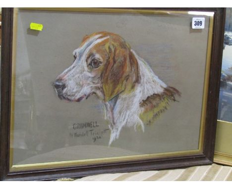 W. WASDELL TRINCKETT, signed pastel dated 1922 "Head and Shoulders Portrait of Cromwell - A Fox Hound", 11" x 16" 