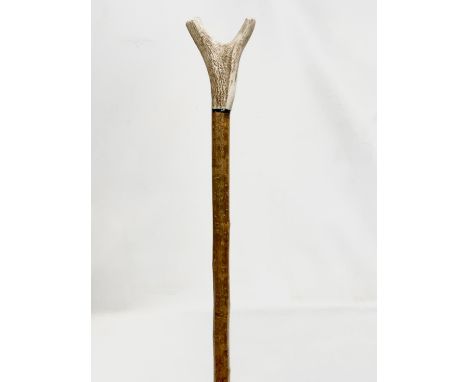 A large vintage stag horn thumb stick. 141cm 