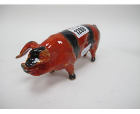 Anita Harris Flambe Model of a Pig, with black stripes, gold signed, 15.5cm long.