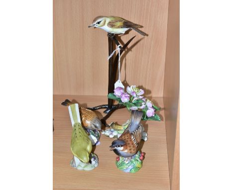 A GROUP OF ROYAL WORCESTER AND AYNSLEY BIRD FIGURES, comprising an Aynsley Yellow Wagtail, Royal Worcester Sparrow and Hedge 