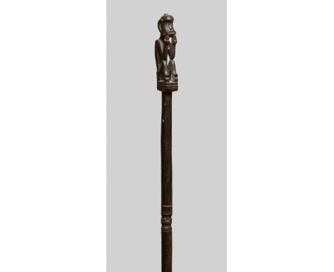 DAYAK TRAP STICK51 cm. long